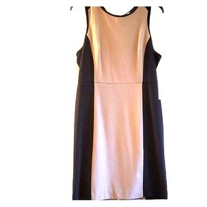 Worthington black and taupe dress. NWOT!